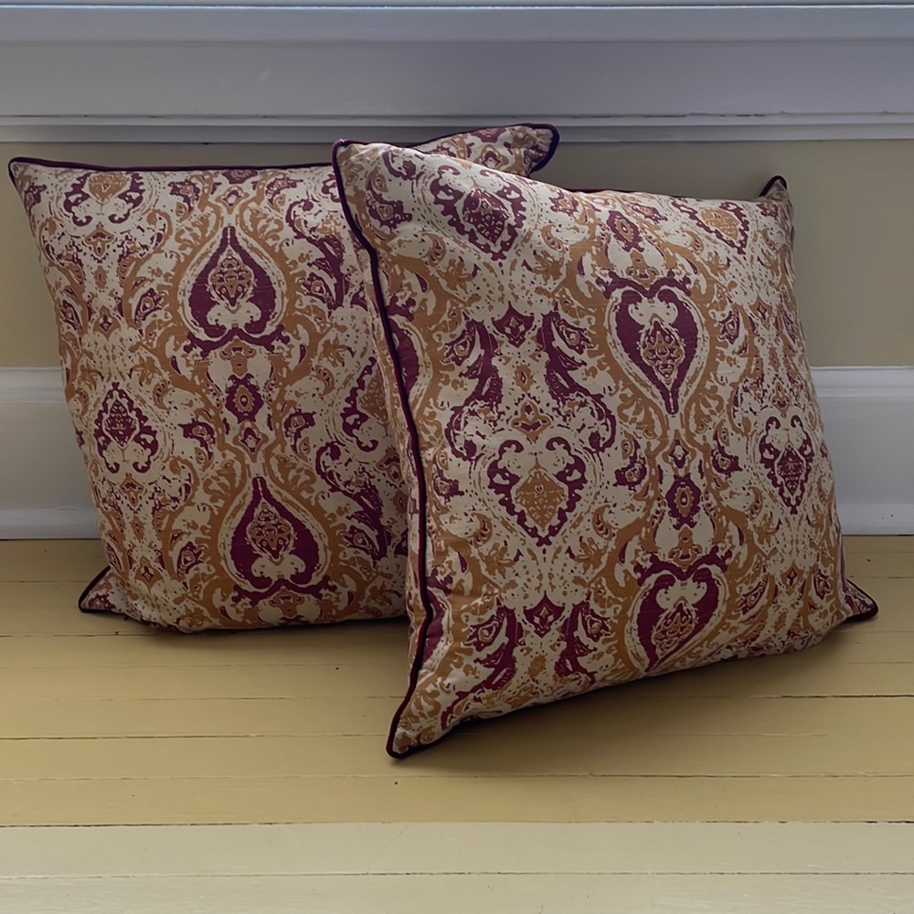 Two Accent Pillows from Homegoods